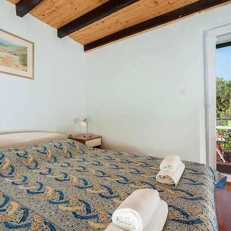 Appartamento In Bozava/insel Dugi Otok 7831 *